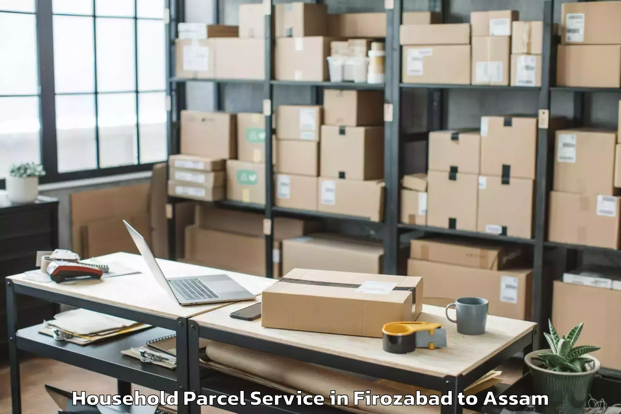 Top Firozabad to Dhekiajuli Household Parcel Available